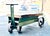 Industrial cart coffee table. It has a storage area beneath the wood top. The base color is green. I was told it was...
