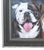 French Provincial Two English Bulldog Portrait Painting Including the Black & Silver Wood Frame For Sale - Image 3 of 6