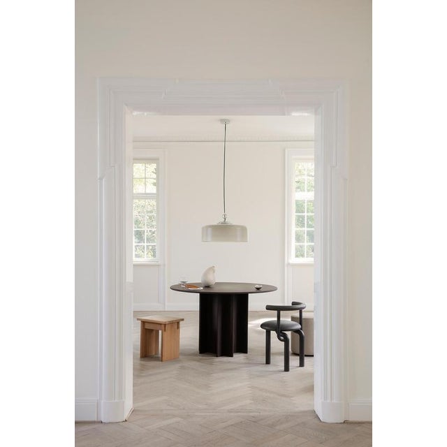 Glass Hanging Lamp by Franco Albini and Franca Helg for Astep For Sale - Image 7 of 9