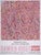 Cerisier en Fleurs Poster after Damien Hirst For Sale - Image 6 of 6