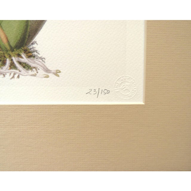 2000 - 2009 Pair of Botanical Orchids Framed Lithographs Prints Still Life Floral Flowers For Sale - Image 5 of 6