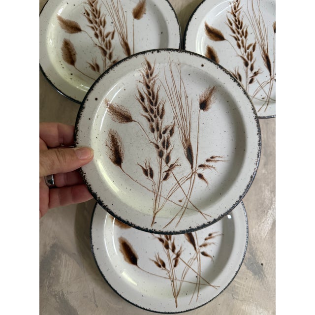 English 1970s Set of Four (4) Midwinter Stoneware 7” Plates by Wedgwood Group For Sale - Image 3 of 7