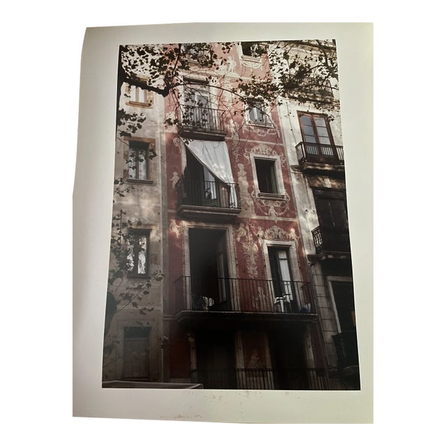 Gelatin Silver Photograph Chairish