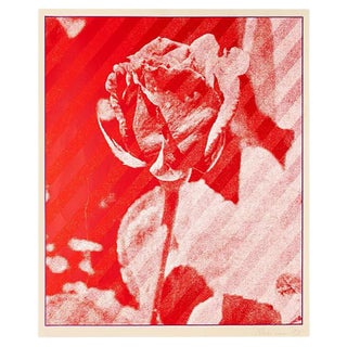 Constantine Persiani, The Rose, Original Print Screen, 1973 For Sale