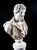 Marble Bust and Pedestal Depicting Roman Emperor Lucius Versus, Set of 2 For Sale - Image 6 of 18