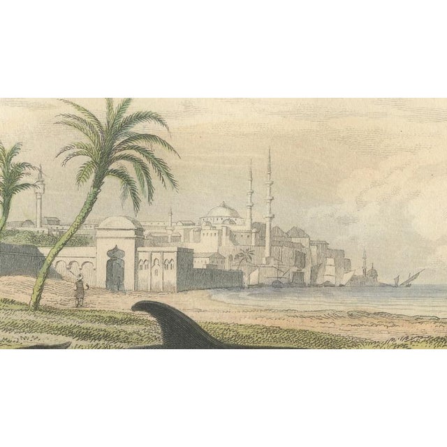 After Édouard Traviès, The Common Dolphin, 1840, Hand-Colored Engraving For Sale - Image 6 of 9