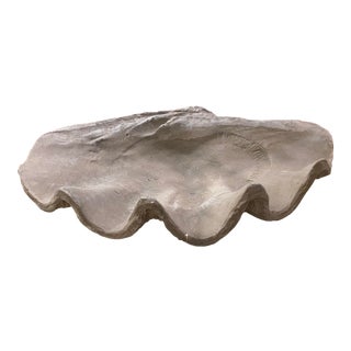 Large Grey Resin Clam Shell For Sale