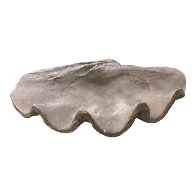 Large Grey Resin Clam Shell For Sale