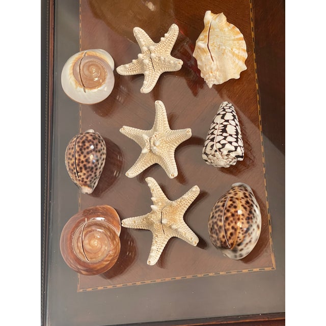 1960s 9 PCS Vintage Coastal Sea Shell Place Cards Holders for Weddings, Parties For Sale - Image 5 of 6