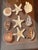 1960s 9 PCS Vintage Coastal Sea Shell Place Cards Holders for Weddings, Parties For Sale - Image 5 of 6