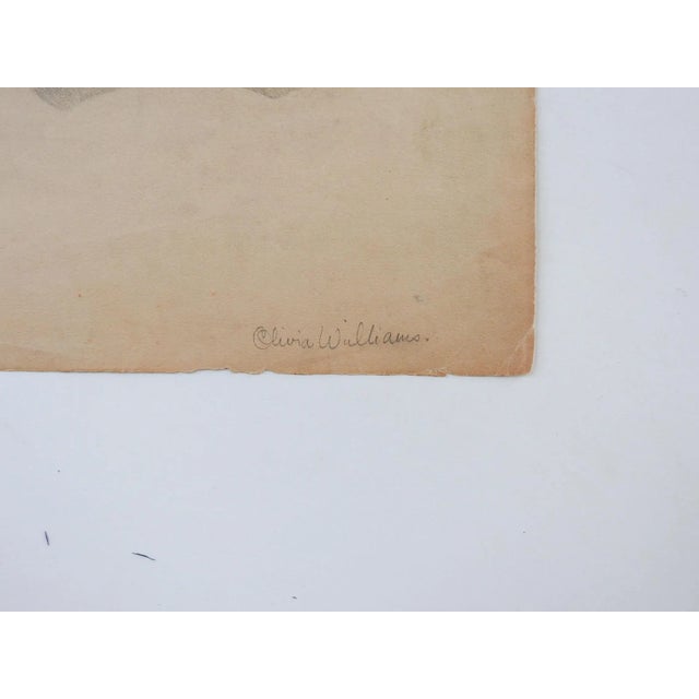 Vintage early 20th century pencil on tan paper drawing of a carved architectural detail. Signed Olivia Williams lower...