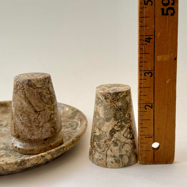 Vintage Fossil Coral Marble Condiment Set With Tray, Salt & Pepper Shakers and Toothpick Holder - Set of 4 For Sale - Image 12 of 12