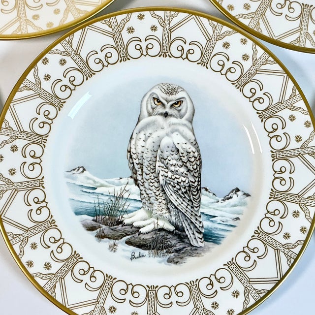 1980 Vintage Arts & Crafts English Bone China Owl Dinner Plates -Set of 8. For Sale - Image 12 of 18