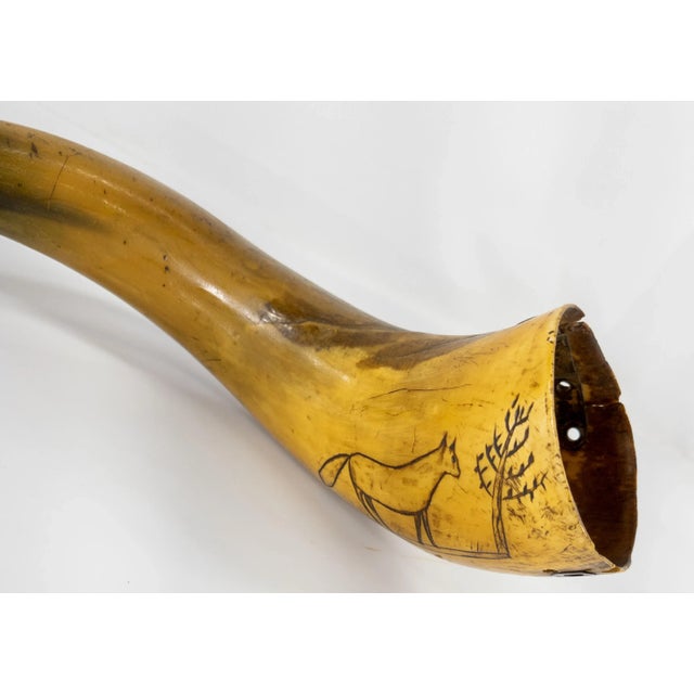 We are selling this nice 18th or 19th century English carved powder horn. This powder horn is carved from a ram or bull...