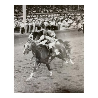 1967 Tropical Park Horse Racing Photograph For Sale