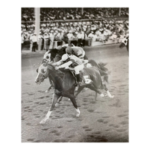1967 Tropical Park Horse Racing Photograph
