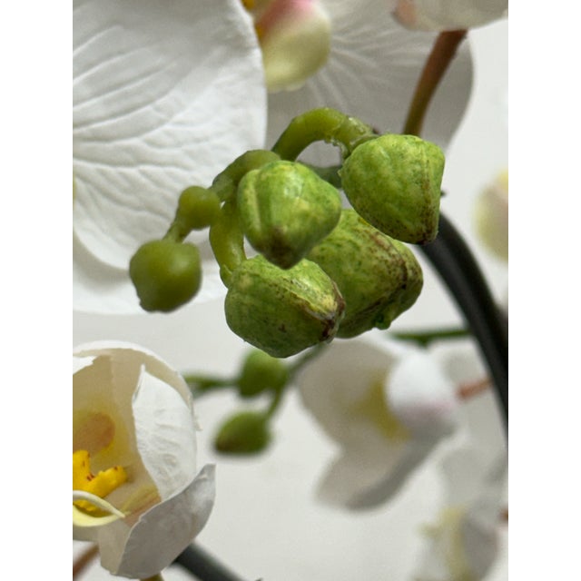 Winward Home Orchid in a Fishbowl For Sale - Image 4 of 12