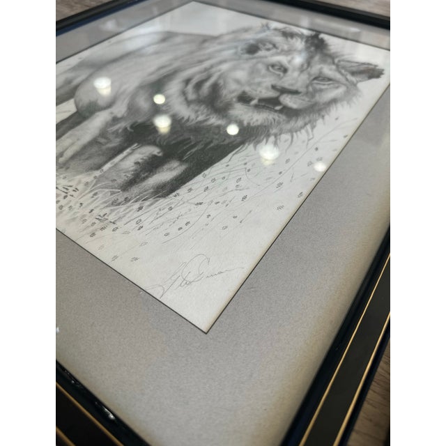 Pair of Wildlife Graphite Drawings – Lion & Cheetahs – Signed – Framed For Sale - Image 9 of 12