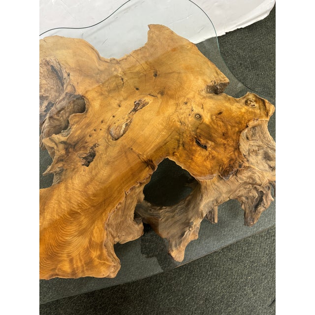 Salvaged Teak Tree Root + Glass Coffee Table Chairish