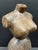 Late 20th Century Carved Wood Female Torso Sculpture For Sale - Image 4 of 10