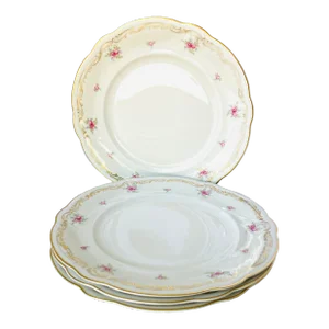 Vintage Hutschenreuther Abt Paul Müller Selb Germany Werdenfels Fine China Dinner Plates Set of 4