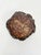 Brown Ceramic Onyx Ashtray, France, 1960 For Sale - Image 8 of 10