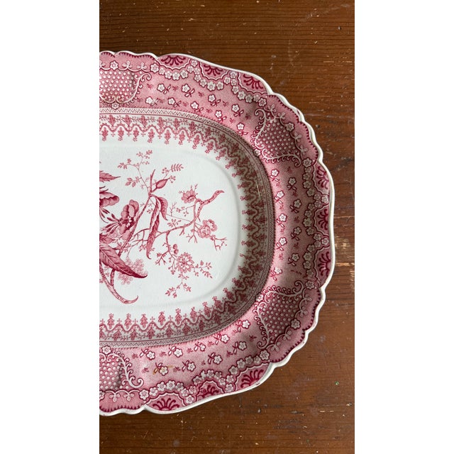 A Very Fine Antique Pink Transferware Decorated Staffordshire Pattern Platter "Asiatic Plants" Pattern, Circa 1840's For Sale - Image 10 of 11