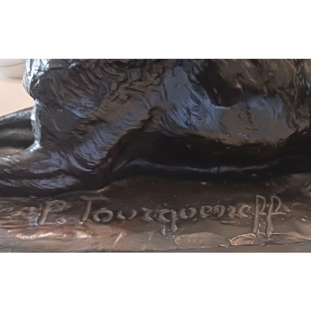Late 19th Century Pierre Tourgueneff French 1853-1912 Stunning German Shepherd Bronze Sculpture For Sale - Image 5 of 6