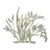 Vintage Brass Botanical Grasses & Seed Heads Wall Sculpture For Sale
