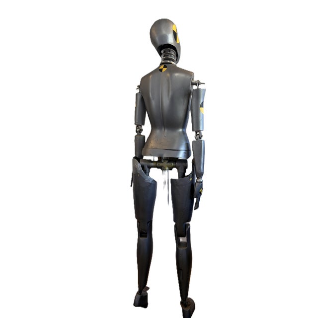 Vintage Female Crash Test Dummy on Display Stand 6 feet Automobilia Perfect For Man Cave Unbridled opportunity for the...