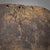 Brown Early 20th Century Bamana Kore Mask Mali For Sale - Image 8 of 10