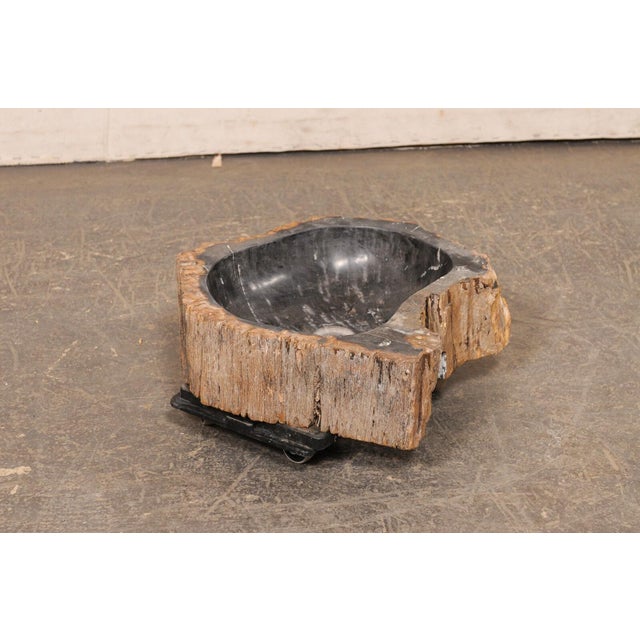Live Edge Petrified Wood Sink, Black & Tan For Sale - Image 4 of 10