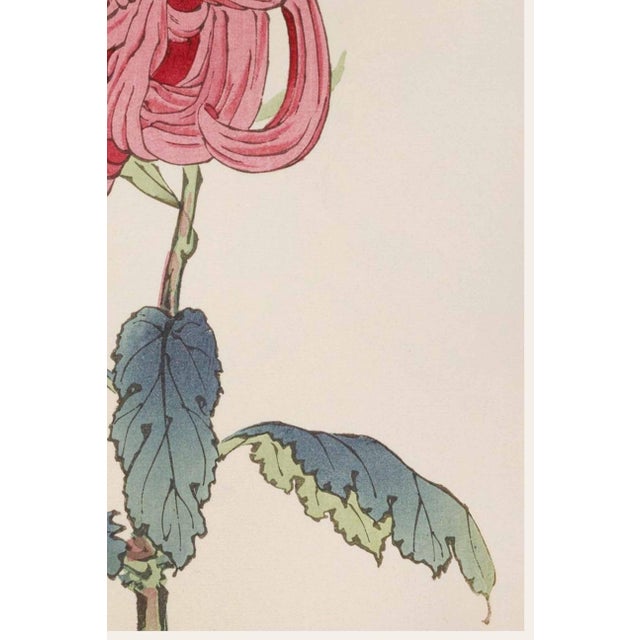Not Yet Made - Made To Order Pink Mum by Hasegawa, Vintage Japanese Botanical Art Print, 40" X 60" For Sale - Image 5 of 9