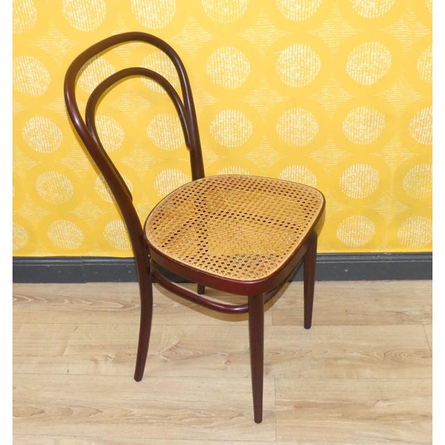 Wood Vintage Bentwood Chairs by Michael Thonet for Thonet, 1960s, Set of 6 For Sale - Image 7 of 13