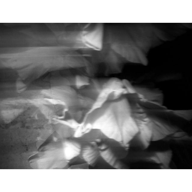 Contemporary Fine Art Photographic Abstract Flower Print For Sale