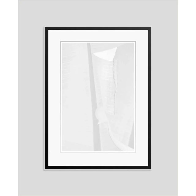 White Leaf' by Stuart Möller White banana leaf. Photo Stuart Christian Möller. Archival Pigment Print signed and numbered...