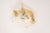 Large Austrian Flush Mount Lights from Kalmar, 1970s For Sale - Image 6 of 15