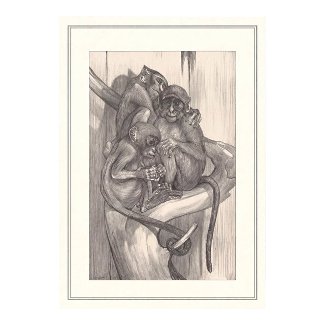Atelier Aria Lumae Theo Van Hoytema Three Monkeys Art Nouveau Restored Gallery Board Print 16 X 24 on Archival Hahnemuhle German Etching Paper For Sale