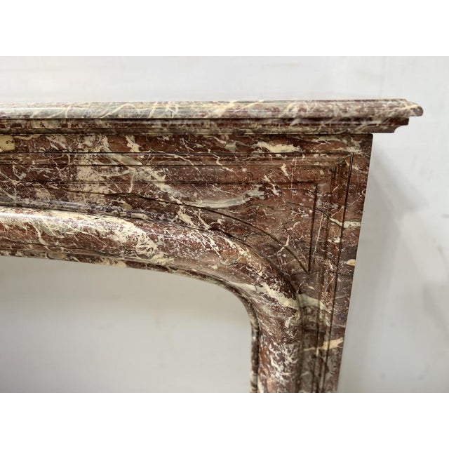 Stone Louis XIV Style Fireplace in Speckled Red Marble, 19th Century For Sale - Image 7 of 16