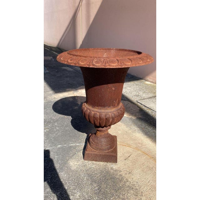 Medici Vases in Cast Iron, 1850, Set of 6 For Sale - Image 3 of 8