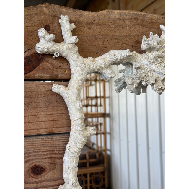 Vintage Coastal Faux Bois Coral and Shell Wall Mirror by Mark Roberts For Sale In Naples, FL - Image 6 of 11
