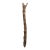 Escarpment Totem, 81" Tall African Ladder For Sale