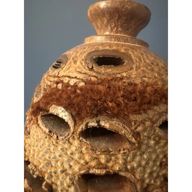 Vintage Organic Banksia Seed Vases- Set of 3 For Sale - Image 11 of 12