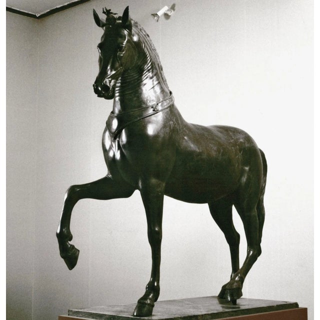 Green The Herculaneum Quadriga Horse "Cavallo Mazzocchi" After Antiquity For Sale - Image 8 of 18