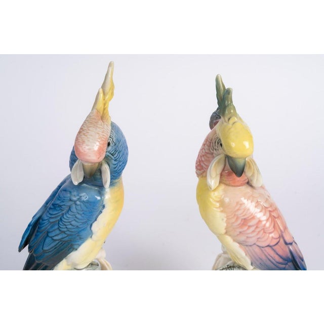 Porcelain Parrots, 20th Century, Set of 2 For Sale - Image 4 of 6