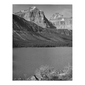 1975 Alberta Canada Mountain Landscape by Don Ware