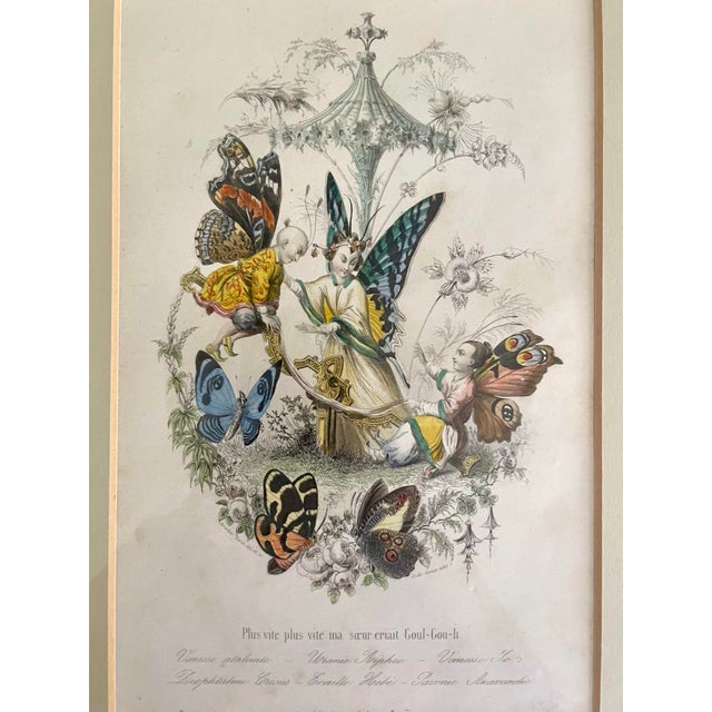 Printmaking Materials Mid 19th Century “Les Fleurs Animées” Original Hand-Painted Antique French Lithographs 1846, Set of 6, Framed For Sale - Image 7 of 12
