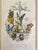 Printmaking Materials Mid 19th Century “Les Fleurs Animées” Original Hand-Painted Antique French Lithographs 1846, Set of 6, Framed For Sale - Image 7 of 12