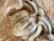 Late 19th Century Victorian English Architectural Corner Frieze Fragment/Molded Ornamental Building Brick For Sale - Image 4 of 11