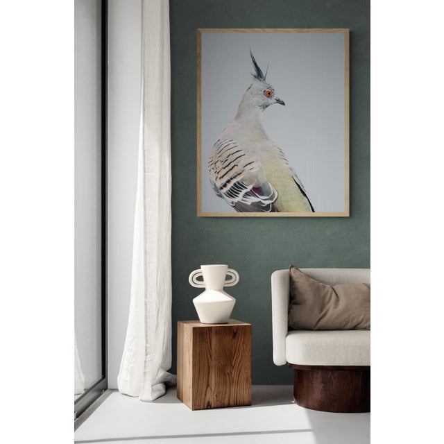 Contemporary Contemporary Limited Edition Print of Crested Pigeon II For Sale - Image 3 of 4